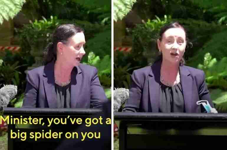 A Giant Spider Interrupted A COVID Press Conference In Australia And It Was The Most Australian Thing Ever
